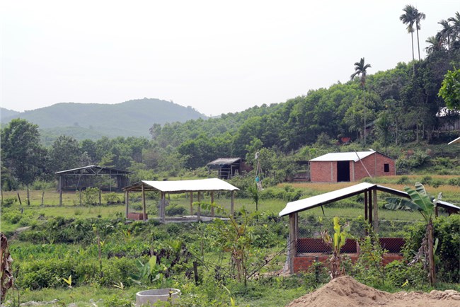 Quảng Nam: Tháo dỡ hàng loạt công trình xây dựng trái phép chờ đền bù (6/5/2023)